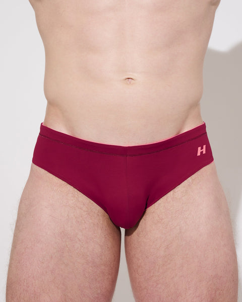 HUNK-Reddragon-Swim-Brief-Underwear